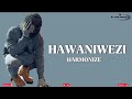 Harmonize - Hawaniwezi (Official lyrics)