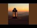 Desert Lantern Dream
