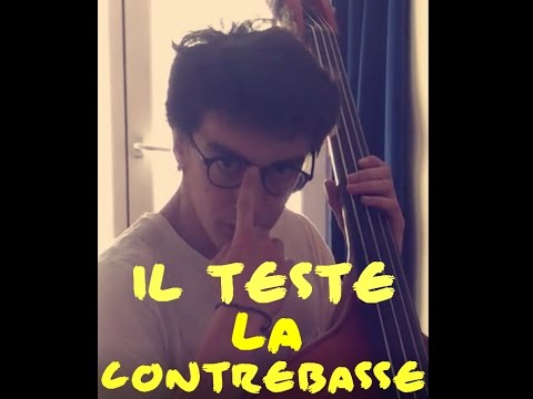 Makishimu teste la contrebasse avec une interprétation de la panthère rose !!