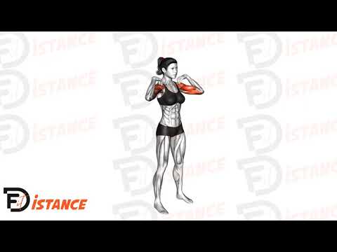 Exercice Cercles bras fléchis (échauffement)