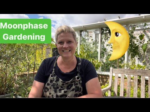 Moonphase Gardening Series 28/08.23 - 30/08/23