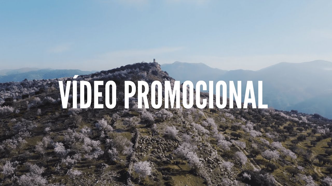 Ejemplo vídeo corporativo