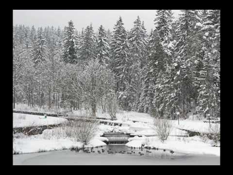 SyReN - Szkoła praca