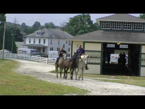 Hanover Shoe Farms-2009 Yearling Sales Prep.