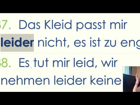 NEMAČKI SVE REČENICE SA LEIDER - ODMAH SAZNAJTE DA LI PRISTAJE ILI NE - SA LEIDER NE PRISTAJE