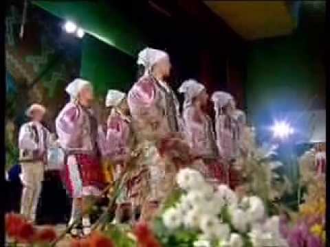 Albesteanu 2009 - Ansamblul folcloric "Doina Baraganului" - Oltenia