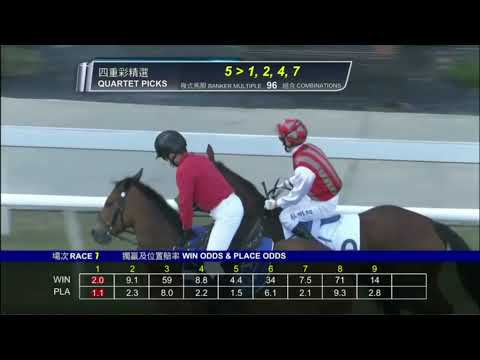 2022 04 10 沙田 第七場 緊張大師 薛恩