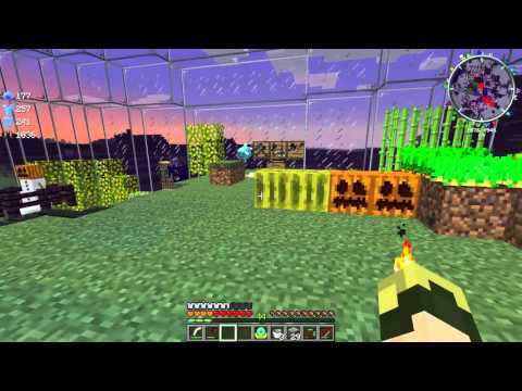 Magician's Blood Orb + Kitchen Remodel = Blightfall 46