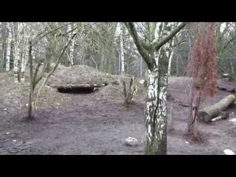 Copenhagen Zoo 10 - The Grey Wolf's Undeserved Bad Reputation