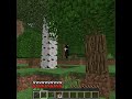 How To Kill An Enderman Safely
