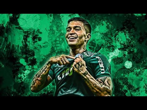 GOL DO VERDÃO DUDU | PaLMEIRAS 1 x 0 TACHIRA | LIBERTADORES 2022
