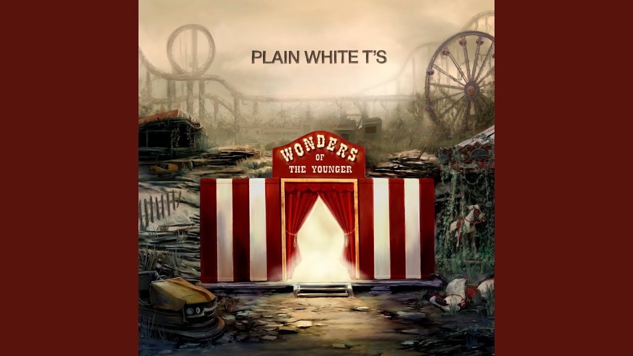 Plain White T's - Irrational Anthem