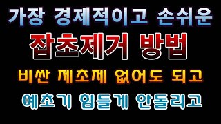 [텃밭농부. 1,139]  가장 경제적이고 손쉬운 잡초제거 방법 #잡초제거 #잡초와의 전쟁 #검정부직포 #제…