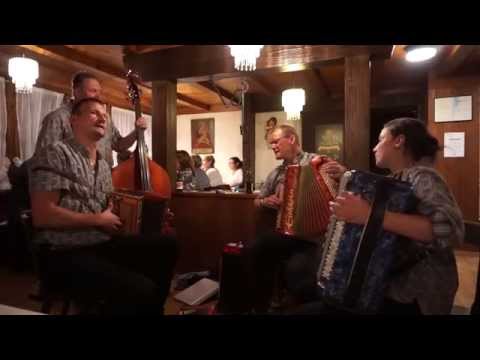 Ländlerquartett Fankhauser-Lustenberger - Ich schenke dir ein Edelweiss