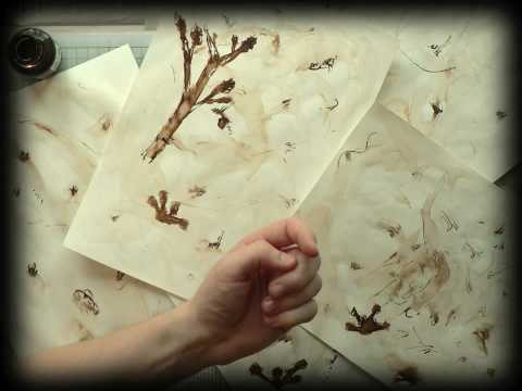 Tom Sawyer Suite 1/5