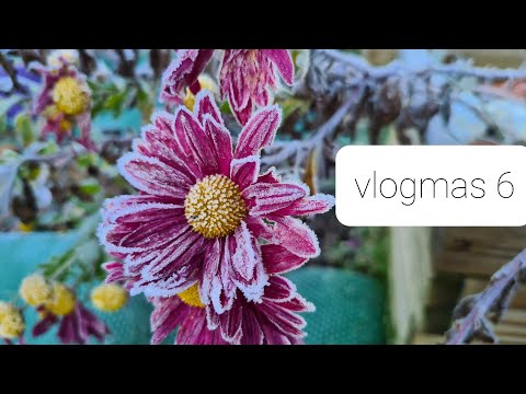 Yarnflakes Vlogmas 2021 - episode 6