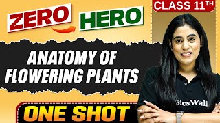 Anatomy Of Flowering Plants | Full Chapter in ONE SHOT | Chapter 6 | Class 11 Biology 🔥