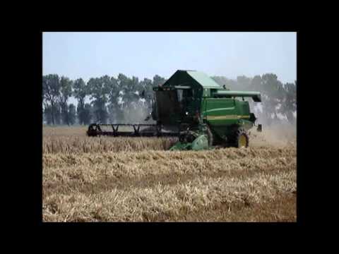 Segaert: Maaidorsen.