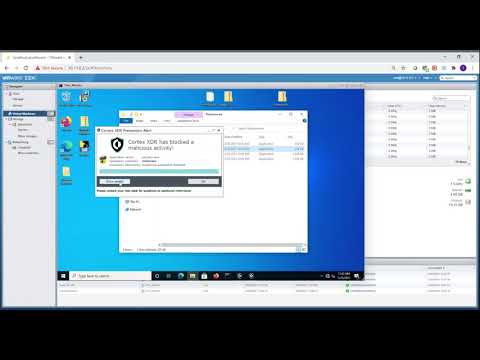 Patya - Offline protection with Cortex XDR