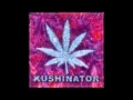 Kushinator Fucked Up and Fly 