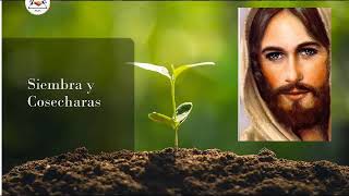 MOMENTOS DE REFLEXIÓN RAFAEL DIAZ DEL VALLE Siembra y Cosecharas