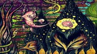 Funky Dragon - Kymonic