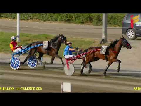 VI Corsa del 4 Giugno 2022 - 4 Anni - Metri 1600 - Gentlemen