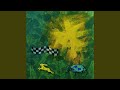 Tho I'm A Tortoise