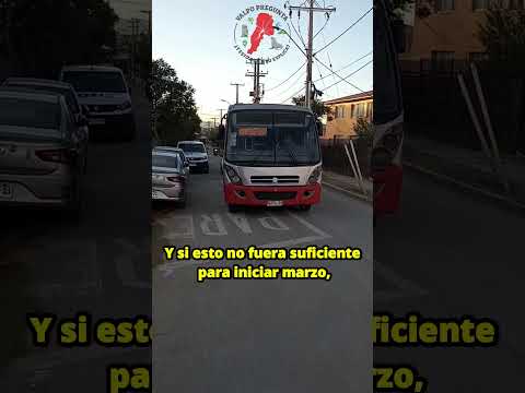 Polémica por poda, alza del transporte y crisis en trolebuses [Semana 4/4 febrero 2026]  PARTE 1