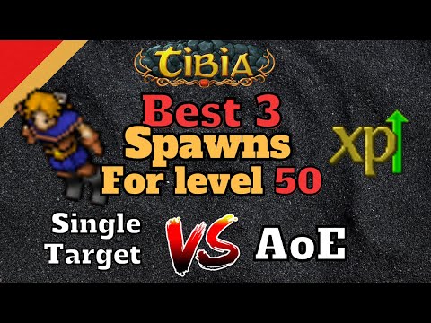 Best Spawns for EXP, Solo Paladin level 50+