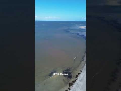 CAMINHO DE MOISÉS LUCENA PB #viral #LUCENA#deusébomotempotodo