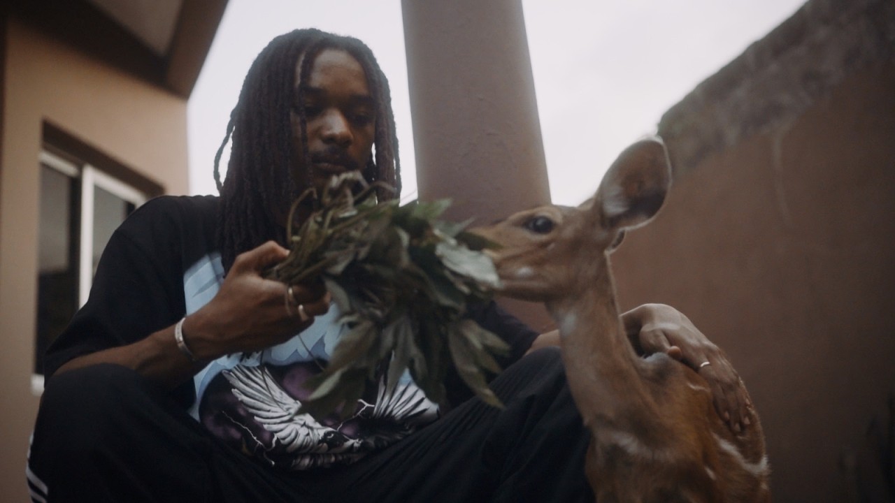 BEHIND THE BEAT- RULE MI HEART