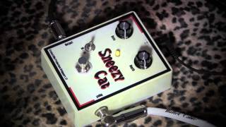 Crockett Dial SNEEZY CAT Tremolo guitar pedal demo with RS Guitarworks Tele