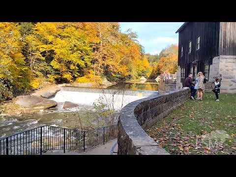 10-15-2022 Slippery Rock Twp., PA - Fall footage in the deep woods, low head dam