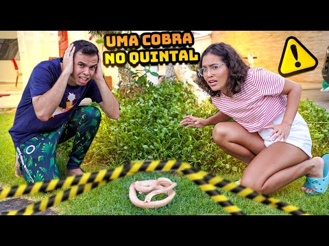 ENCONTRAMOS UMA COBRA DE VERDADE NA MANSÃO! - SINISTRO!