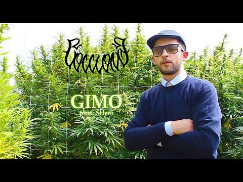 Coccione - Gimo Prod. Sclero (R.I.O.)