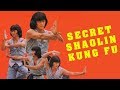 Wu Tang Collection - Secret Shaolin Kung Fu - (English Dub)