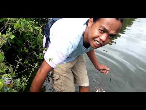 ngurek-belut-tapi-tidak-dapat-belut