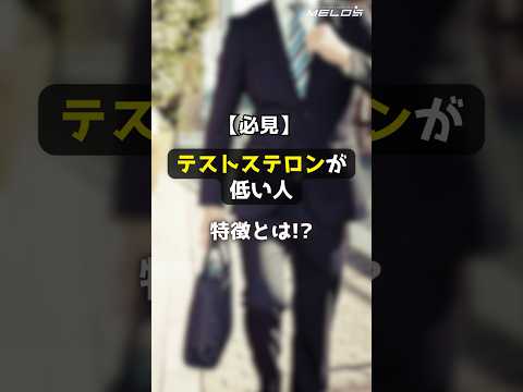 B-29 爆撃機の前部胴体 (およびコックピット)