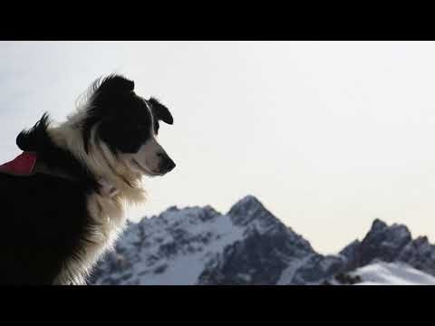 South Lines 2017 - Full Film