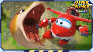 Download lagu [SUPERWINGS6] Perburuan harta karun di Peru | EP19 | Penjaga Dunia Superwings | Sayap Super mp3