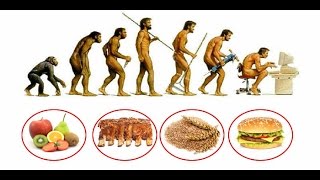 Alimentazione ed evoluzione