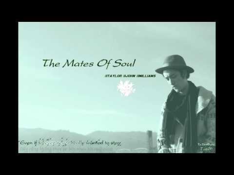 [Lyric + Vietsub] The Mates of Soul || Taylor John Williams