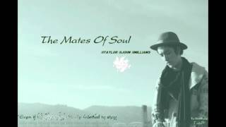 [Lyric + Vietsub] The Mates of Soul || Taylor John Williams
