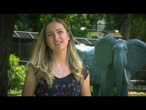 Moja lepa Srbija: Jagodina, drugi deo