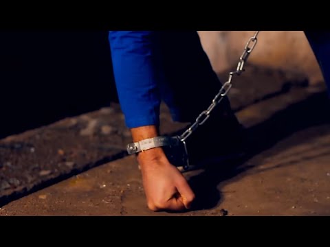 DANI PRINTUL BANATULUI - LIBERTATEA