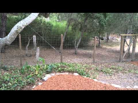 3 Bed/3 Bath Home Adjacent to Skyline Forest property video