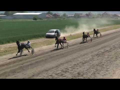 Trka "Konjicki klub Lozovik" 15.5.2022. Cipiripi A.T - Nenadovic Milan