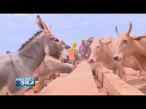 Project 254 - Episode 46 - IRRIGATION INTERVENTIONS IN WAJIR AND MANDERA