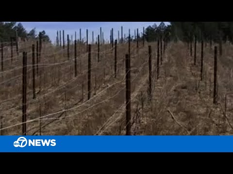 North Bay residents say their water wells are nearly completely dry